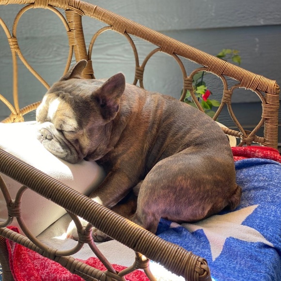 Meet your Posher, Edwin - Picture 1 of 1